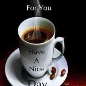 Meet your Posher, Yavonne